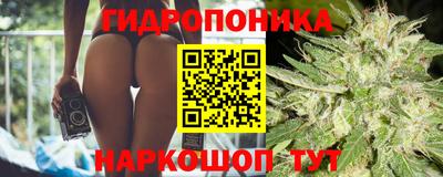 амф Бердск