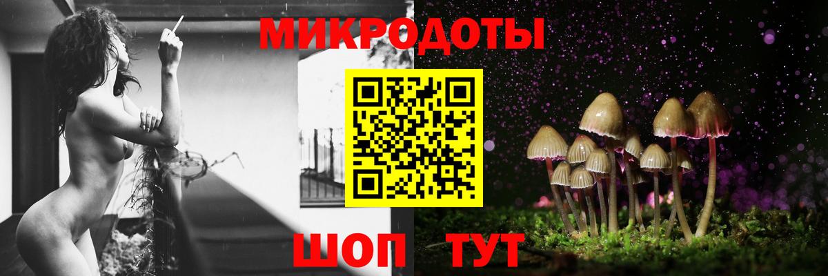 Галлюциногенные грибы Psilocybe Зеленокумск